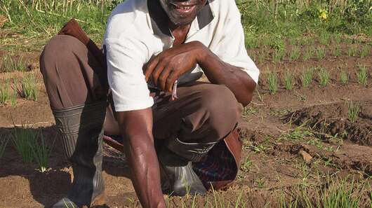 Due to the training on new farming methods our harvest became much larger. Now we can even save some money for hard times. 