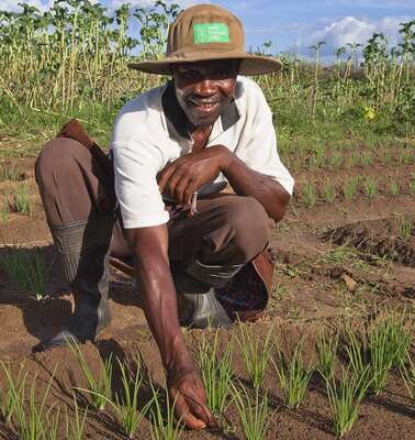 Due to the training on new farming methods our harvest became much larger. Now we can even save some money for hard times. 