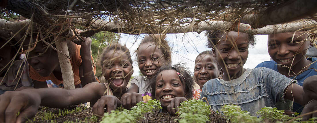 Kinder gucken sich den Anbau von Pflanzen an