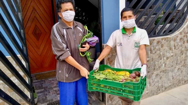 Home delivery of organic fruit and vegetable in Huánuco