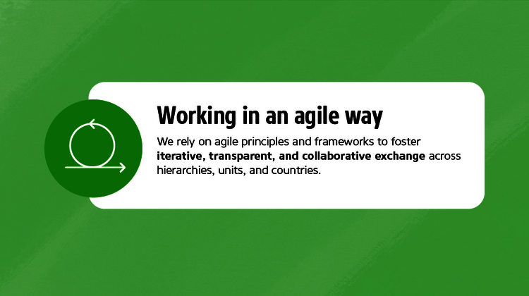 We rely on agile principles and frameworks to foster iterative, transparent, and collaborative exchange across hierarchies, units, and countries.
