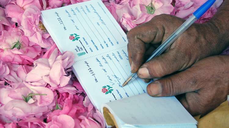 Quittung über die gelieferte Rosenmenge