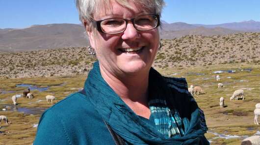 Mitarbeiterin Ulla Förster in Peru vor einer Herde Alpakas. 