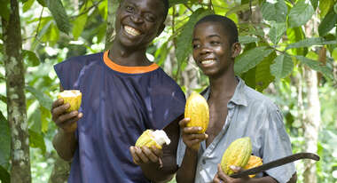 New Beginnings with Organic Cocoa