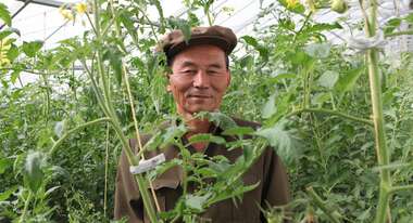 Landwirtschaft in Nordkorea