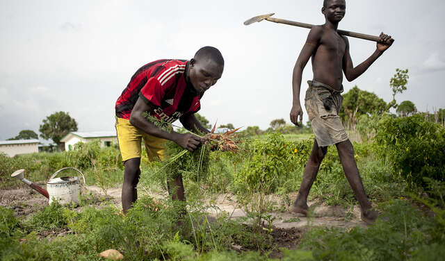 Zentralafrikanische Republik Central African Republic, Ngoulekpa und Boussamoa