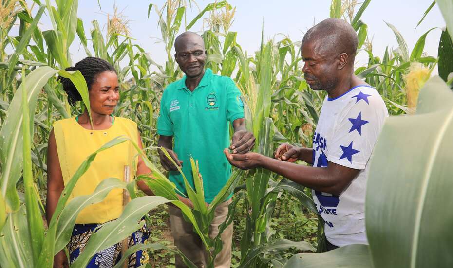 Sustainable Development Goals' Current Status: The global community must live up to its commitment to allocate a fixed portion of gross national income to development aid. In this way, projects such as this reintegration program for refugees in Uganda can be funded.