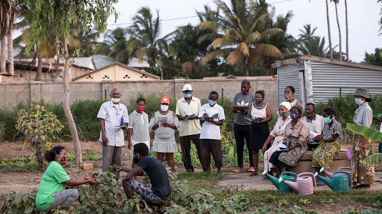Eine Gruppe Menschen wird in einem Nutzgarten geschult.