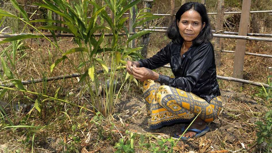 Frau beim Gemüse- und Kräuteranbau in Kambodscha