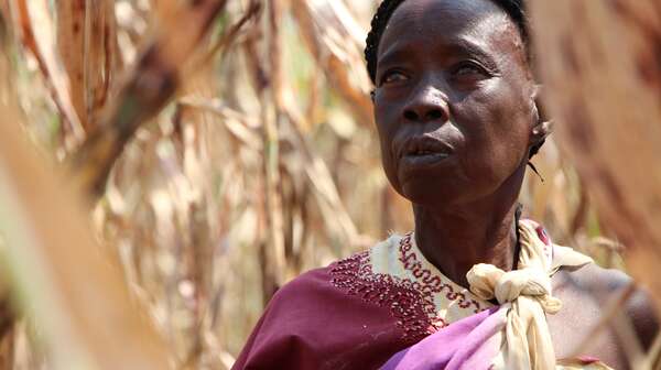 Suedsudan Projekte Nyamlell South Sudan Nymlal projects