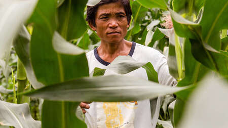 Man stands in a field