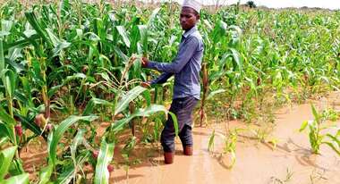 Ein Mann steht auf einem überfluteten Feld im Wasser