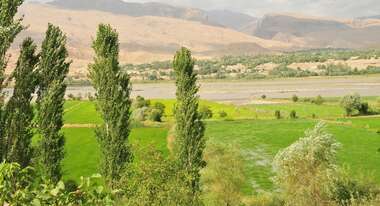 Forest in Tajikistan.