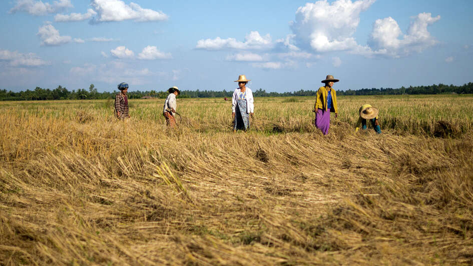 Feldarbeit in Myanmar