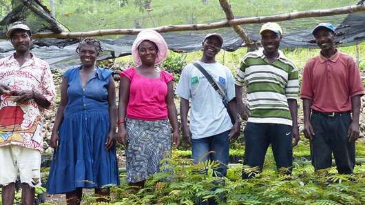 Six people are standing behind a few seedlings.