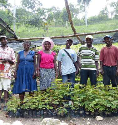 Six people are standing behind a few seedlings.