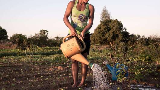 A woman watering a field in Toliara, Madagascar.