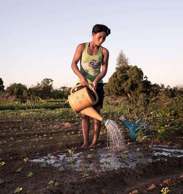 A woman watering a field in Toliara, Madagascar.
