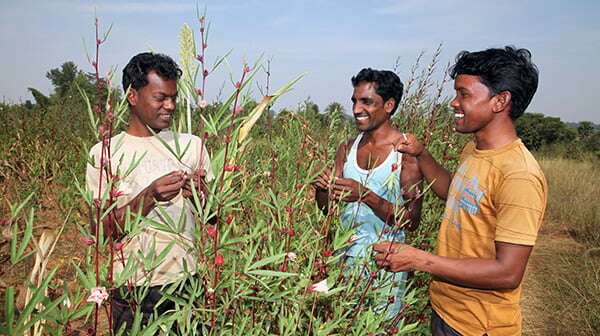 Drei junge Männer in einem Feld in Indien.