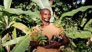 A farmer from Haiti with tree seedlings