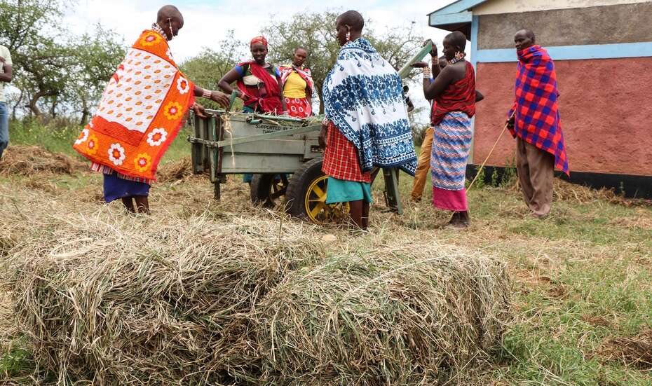 New life in times of global warming