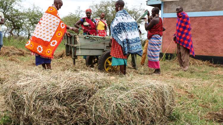 New life in times of global warming.