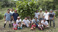 A cocoa farm in Peru. A cocoa farm in Peru.