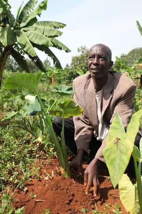Antoine Kanunda, 63, operates a seed bank for Welthungerhilfe. In his fields, he multiplies high-quality seeds from other regions in order to improve quality in Ngozi.