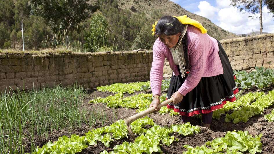 Dokumentation der Arbeit der Organisation Puririsun (= "gehen, bewegen") Documentation of Puririsun organization activities (= walk, move)