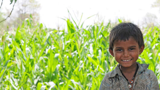 Transparenz Welthungerhilfe