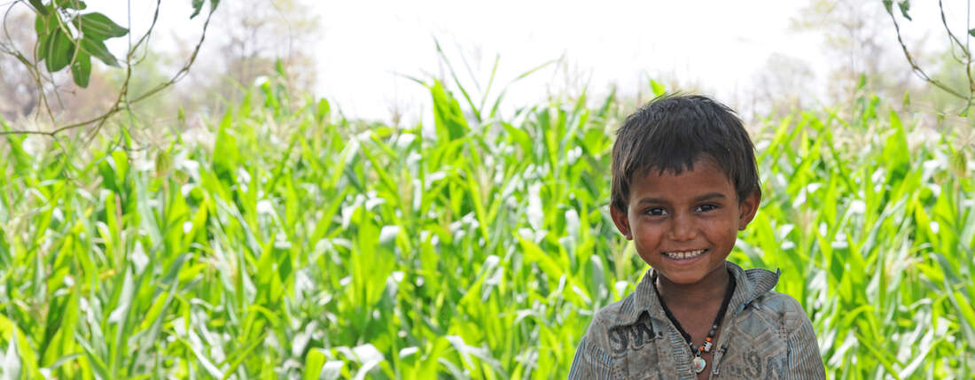 Transparenz Welthungerhilfe