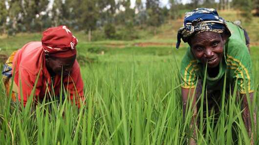 Two women stand bent over on a field, one looks smiling into the camera.
