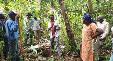 Eine Gruppe Menschen im Wald Haitis bekommt Informationen zu einer Kaffeepflanze.