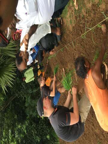 2017-setzlinge-indien-technik-trifft-tradition-Welthungerhilfe-3.jpg “There must be an easier way,” the trainees thought to themselves while planting rice seedlings.