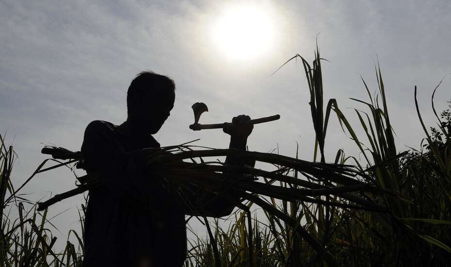 Diversifying to become independent