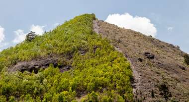 Regenwaldabholzung in Haiti, 2019. 