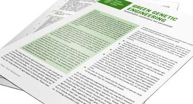 Title page of the Position Paper Rural Development: Green Genetic Engineering