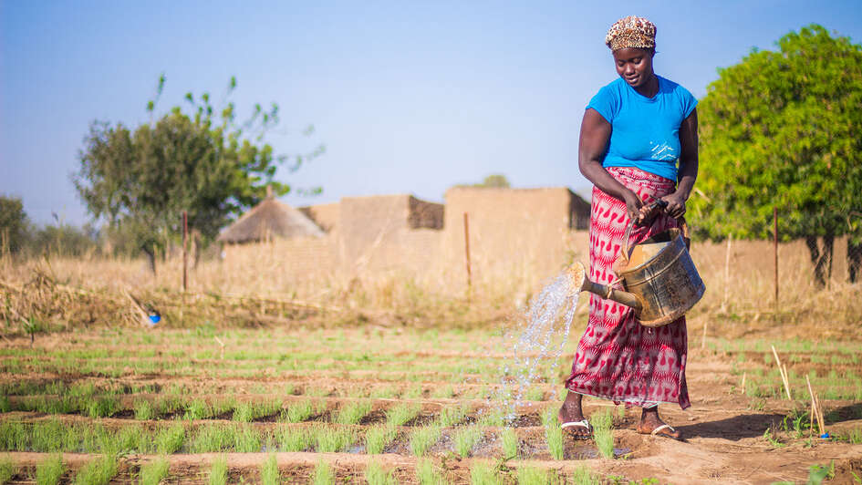 A woman waters her crops in Burkina Faso.