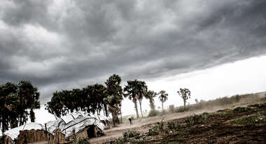 Dunkle Wolken am Himmel, neben aus Holz und Planen gebaute Häuser stehen Palmen, die sich im Wind beugen.