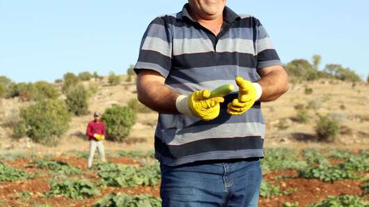 Faruk Youssef in the field. 