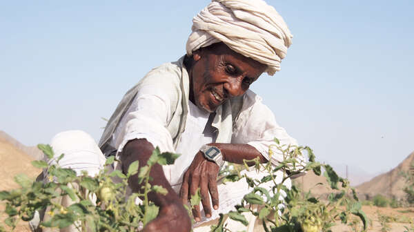 Mann im Gemeinschaftsgarten.