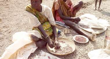 Frauen mit Bohnen und Salz