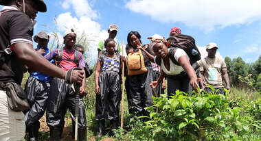 A group of young people stand around a plant, a young woman examines it.