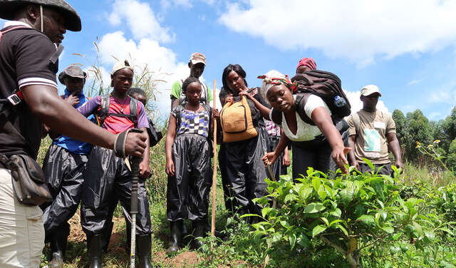 A group of young people stand around a plant, a young woman examines it.