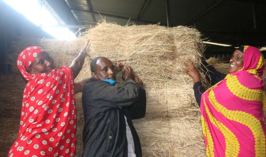 Projektteilnehmer im Heulager