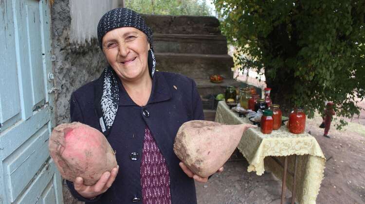 Eine Frau hält zwei große Rote Beete Knollen in der Hand, Tadschikistan 2021. 