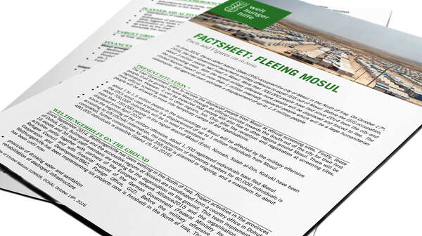 Factsheet Cover: Fleeing Mosul