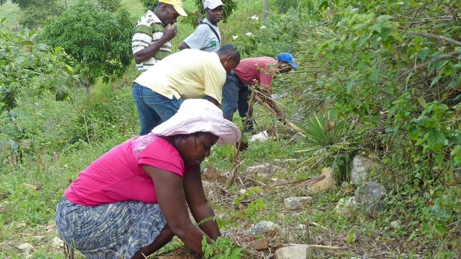 Bäuerinnen und Bauern bauen einen kleinen Steinwall zum Schutz gegen Erosion auf Haiti.