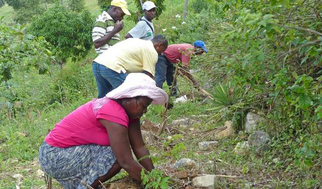 Bäuerinnen und Bauern bauen einen kleinen Steinwall zum Schutz gegen Erosion auf Haiti.
