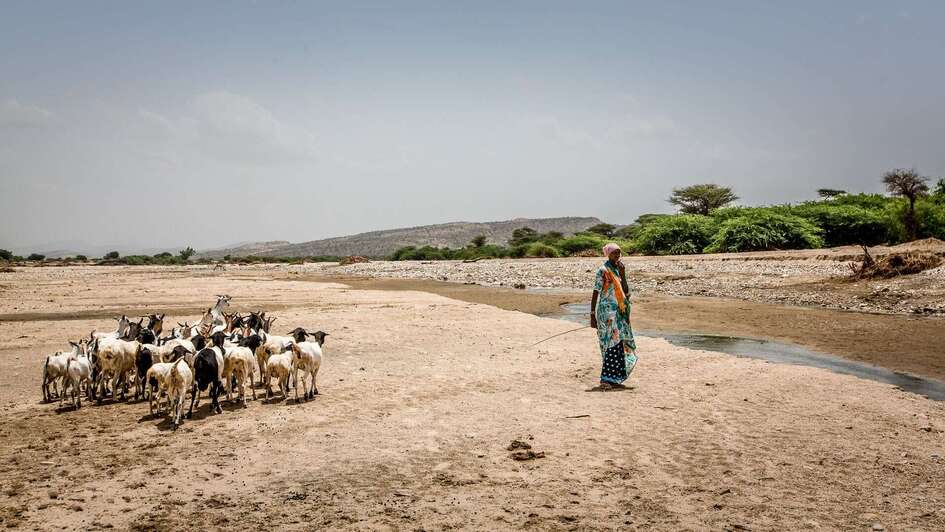 A woman with her goats at a nearly dried-up watercourse in Somaliland